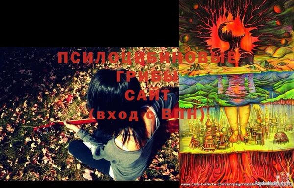 МДМА Новодвинск