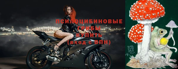 МДМА Новодвинск