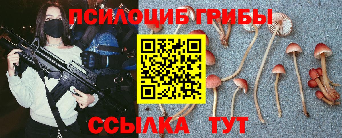 Шарыпово  Псилоцибиновые грибы MAGIC MUSHROOMS  Вход с VPN 