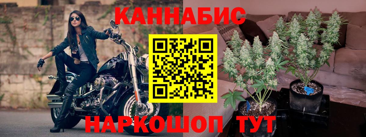 Марихуана OG Kush Шарыпово